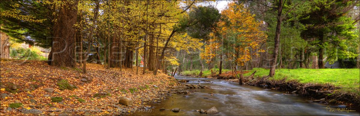 Peter Bellingham Photography Harrietville - VIC (PBH3 00 34333)